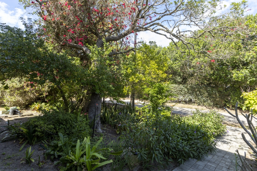 3 Bedroom Property for Sale in Seafield Eastern Cape